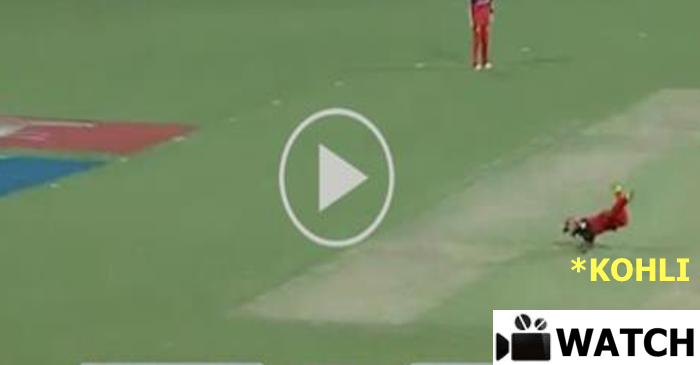 WATCH: Virat Kohli takes a sensational catch to dismiss Rahul Tripathi (RCBvRPS IPL 2017)