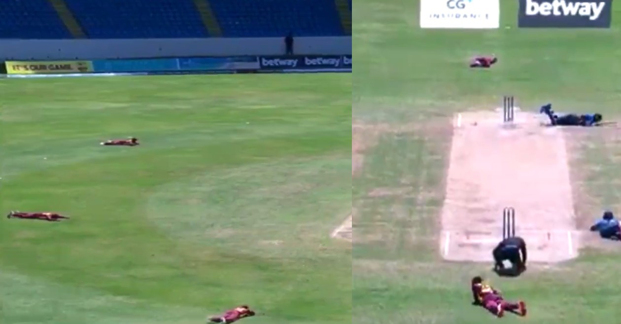 WATCH: A swarm of bees halts play during the third ODI between West Indies and Sri Lanka