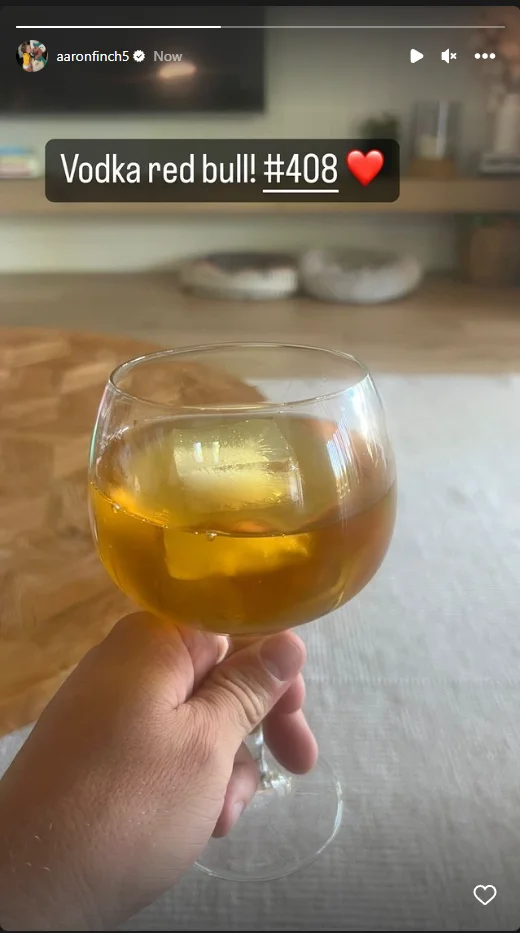 Aaron Finch's Instagram story