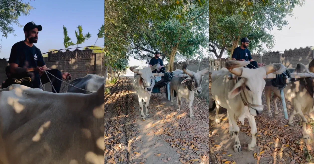 WATCH: Ravindra Jadeja enjoys vintage bullock cart ride after returning home from South Africa
