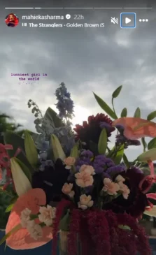 Mahieka Sharma instagram story bouquet 1