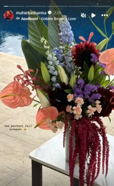Mahieka Sharma instagram story bouquet 2